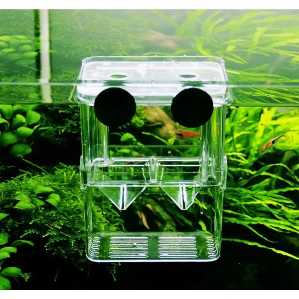 Double‑Layer Floating Aquarium Fish Breeding Isolation Box